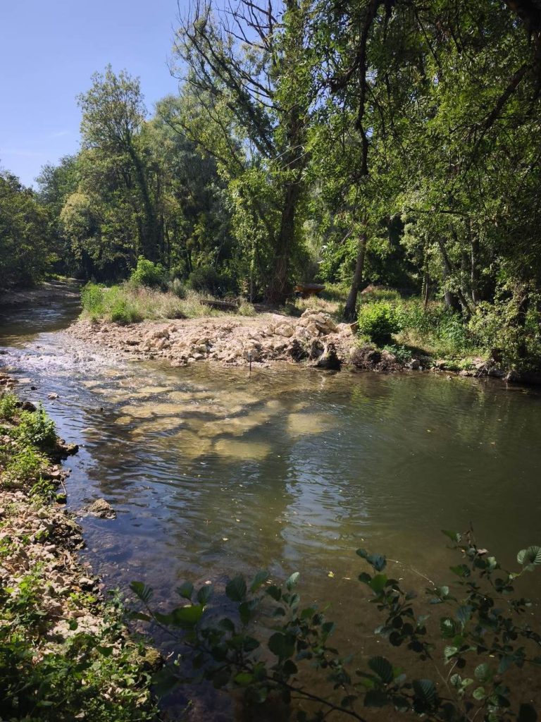 piscine-naturelle-riviere-auxance-cartonnerie-3